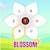 Blossom