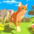 Cat Life Simulator