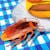 Cockroach Simulator