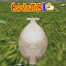 Crazy Cattle 3D