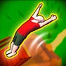 Crazy Flips 3D
