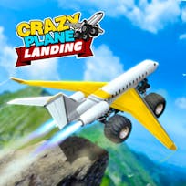 Crazy Plane Landing