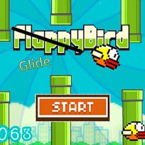 Glide Bird