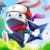 Ninja Rabbit