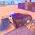 Police Drift & Stunt