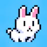 Poor Bunny
