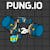 Pung.io