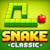 Snake Classic