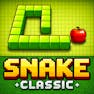 Snake Classic
