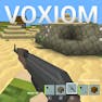 Voxiom.io